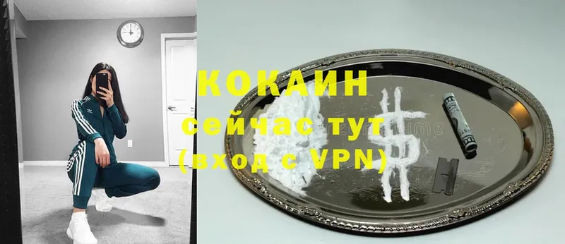 КОКАИН Эквадор  Армавир 